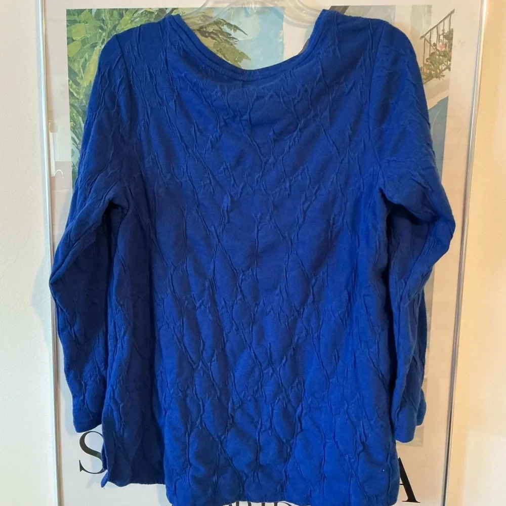 Simply Vera Wang 0X top in Rich Blue long sleeves lightweight sweater soft comfy